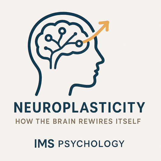 Neuroplasticity: How the Brain Rewires Itself